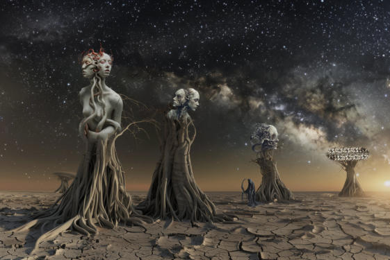 tarvenus